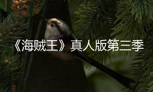 巴斯宣 人版贼王真战季官聚焦坦之第三海阿拉