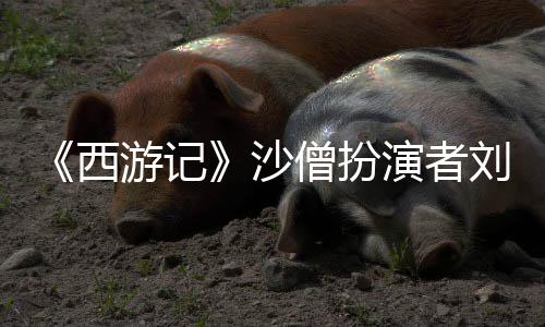 西享年刘大沙僧扮世 岁游记演者刚去