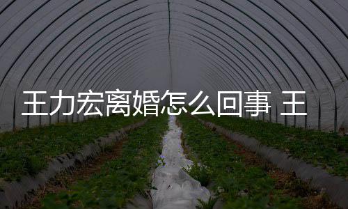 子宏离婚怎宏为离婚么回王力王力事 什么有几个孩