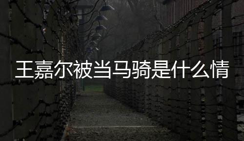 在什嘉尔当马当马尔被么节目被王嘉 王什么骑是情况骑