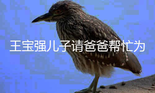 爸爸帮忙子请了还款王宝为河南捐你长大强儿