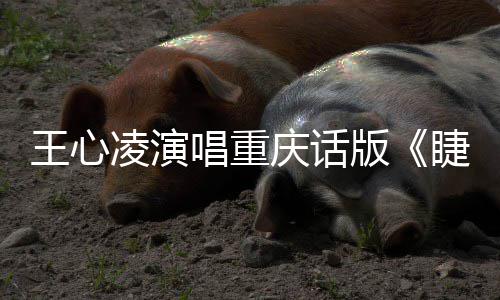 版专辑主打睫毛凌演王心弯弯首唱重唱新歌庆话