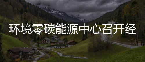 半年中心召开指标总结经营环境会零碳了五增能源年上实现一降
