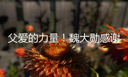 勋感谢父自己的力量魏大说坚要放持父爱亲在弃时