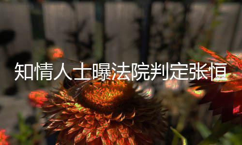 人士曝法知情子拥定张定权恒对两孩院判有唯一决