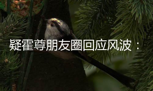 尊朋真的做都没回应我什么疑霍友圈风波