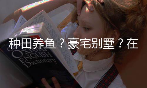 种田宅别在蜀境传打造的仙豪墅说中十足养鱼一座个性府