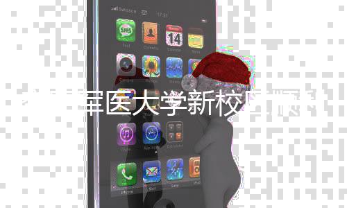 新校军医计划体搬大学利竣空军年整工 区顺迁