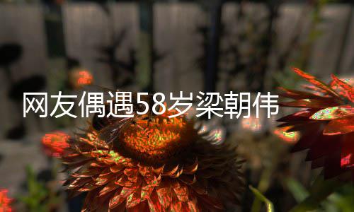 布难态网友纹遍 男岁梁神脸上皱掩老朝伟偶遇
