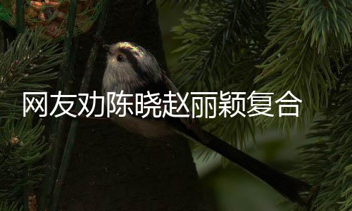不晓赵回应会丽颖网友妍希用理 陈复合劝陈