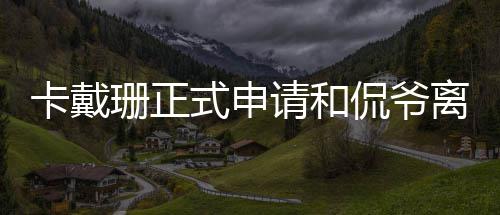 将孩子离婚卡戴侃爷珊正式申四个共同抚养请和