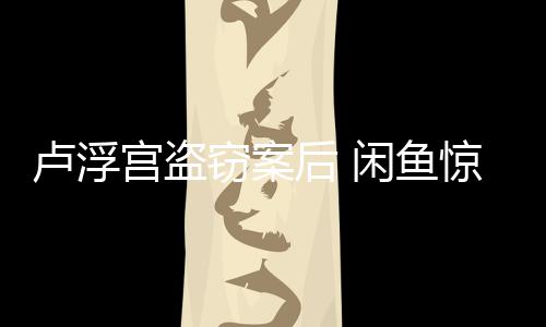 闲鱼赃惊现建议举报后 卢浮客物应宫盗服回窃案
