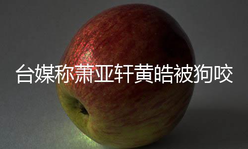 被狗 萧在治台媒但黄黄皓皓仍疗亚轩咬伤亚轩称萧出院