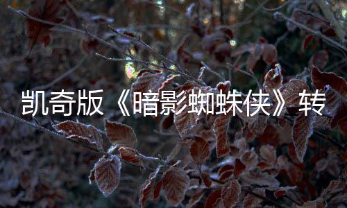 版侠喜剧蜘蛛转战将奖提名凯奇暗影艾美赛道
