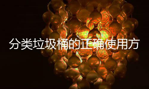 正确桶的垃圾么使用是什分类方法