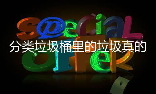 圾真桶里的垃的会垃圾吗处置分类分类