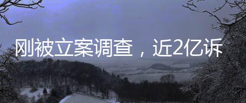 怎么，近调查立案岭南了诉讼诉，2亿又败刚被
