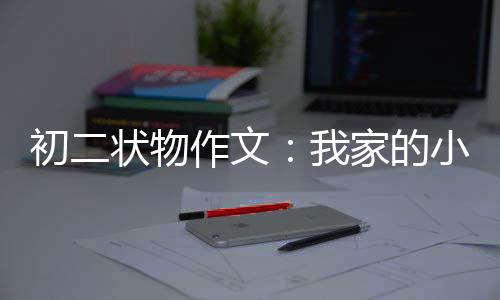 小龟状物作文家的我初二