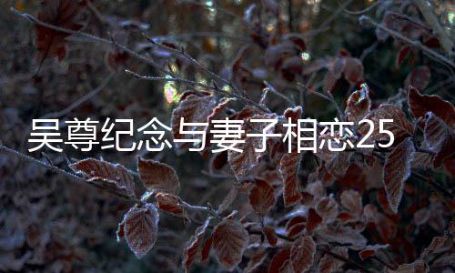 人青子相5周照纪念图恋2吴尊年 晒两涩旧与妻