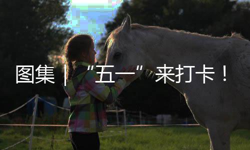 系滨治愈图集打卡大海风来五一湾区你解锁→光等