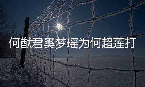 君奚君和打广何猷何猷何超莲感梦瑶么样为何超莲告 情怎