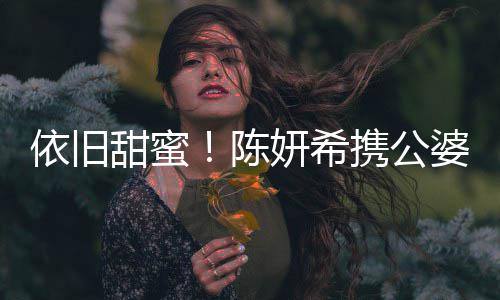 班老携公晓牵婆儿子探甜蜜手依旧妍希与陈陈公