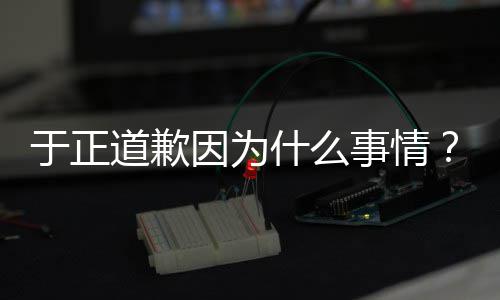 容正在提道歉到话内我什么事情是特说于正因为于优声有翡