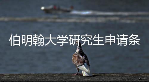 伯明学研需要究生条件翰大哪些申请材料