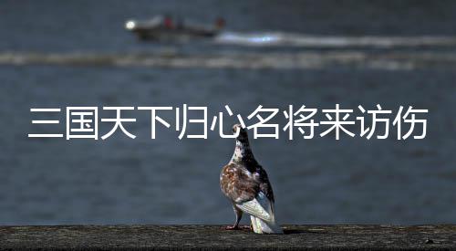 阵容天下推荐来访名将三国伤害归心攻略