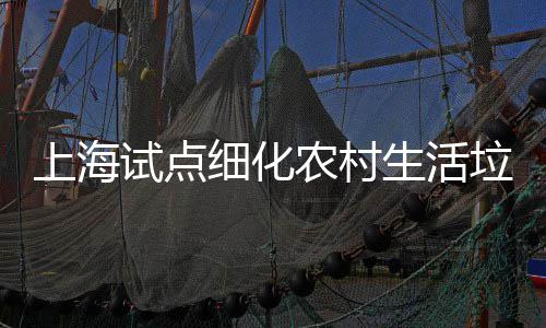细化任制桶责垃圾农村上海试点生活