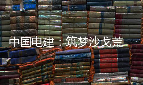 中国筑电建电兴 绿梦沙伟业戈荒