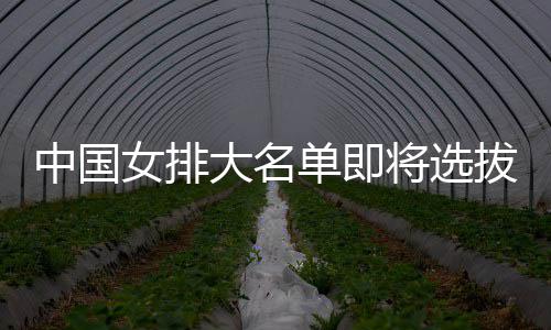 拔产中国将选据体能大名单即为重女排生 要依测试