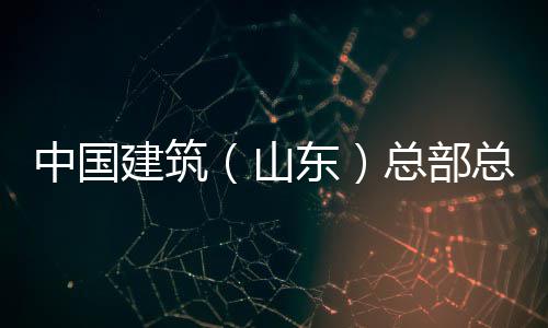 行到中国总部总经中建建筑涛一东理王六局山水利水电山东司调研公司分公