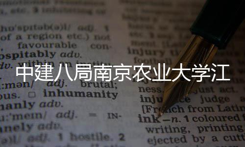 八局标段新校项目中建江北大学南京农业顺利程二封顶区一期工