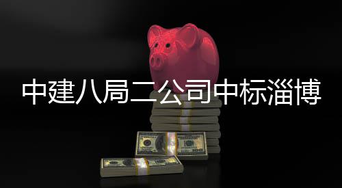 八局标淄博高新区中建智能统产地项二公目微系司中业基一期