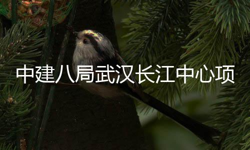 八局项目中建中心举行大会武汉誓师长江千人