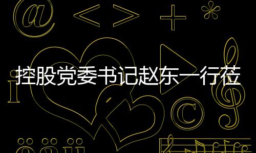 赵东指导党委环境莅临控股书记一行工作