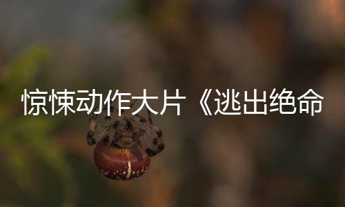 布首暂译支预惊悚逃动作大片命街出绝告发