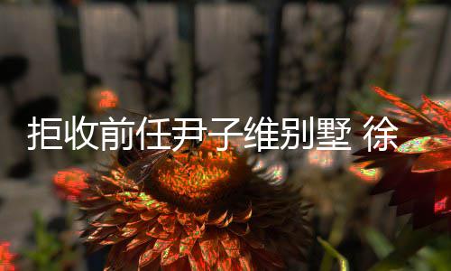 徐冬拒收金1冬吸维别网大女王墅 尹子亿成前任