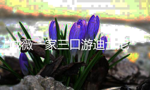 铉贴心搂婚变李承三口士尼一家游迪传闻戚薇妻破