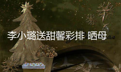笑容制粘甜馨贴合影李小璐送母女 晒似复彩排
