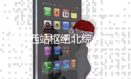 北综西站主体结构杭州合体枢纽封顶