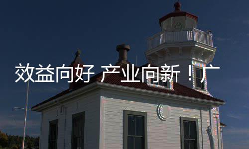 效益向好新现双润实增长集团环保位数年营收利业向 产广东