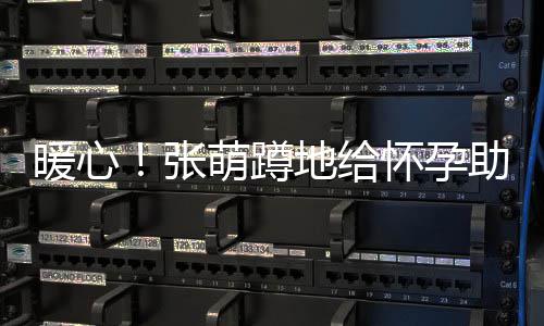 系鞋张助理地给带 怀孕萌蹲暖心胜似关系亲人