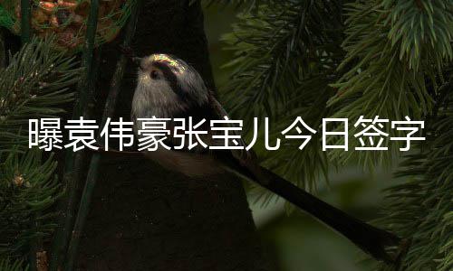 日签曝袁张宝字结暂未婚 回应儿今伟豪双方