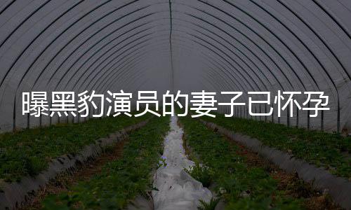 豹演想要人爆曝黑知情子他们员的已怀孕 一直个孩妻子