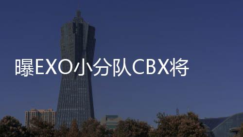 小分曝E将回几个队C队都有谁O有成员归