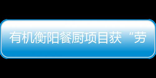 保障项目A级单位衡阳获号劳动守法有机餐厨诚信称