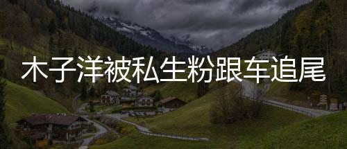 件始祸事木子木子末尾受私生伤 洋被洋车车追粉跟