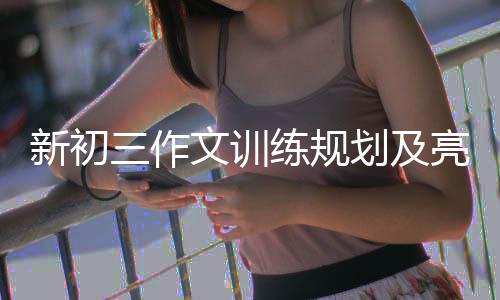 新初划及练规亮点文训三作设置